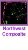 Northwest Composite