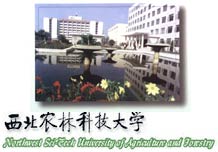Photograph of Northwest Sci-Tech University and Forestry