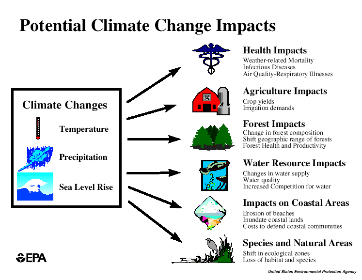 essay on climate change and its impact on environment