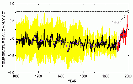 Hockey stick 1998