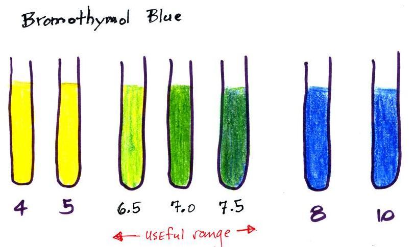 Bromothymol Blue Color Change Chart