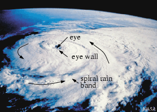 Hurricane Elena as seen from
               the space shuttle