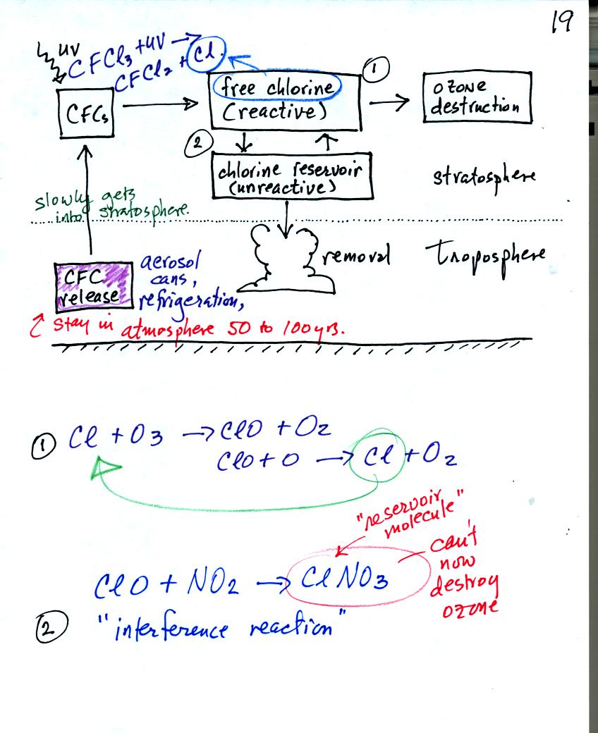 CFCs and ozone destruction