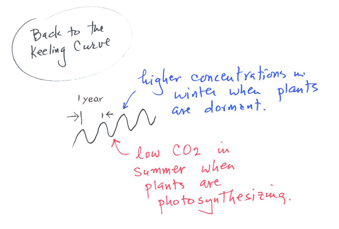 yearly variation in atmospheric CO<sub>2</sub> concentration