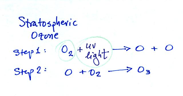 production of stratospheric ozone