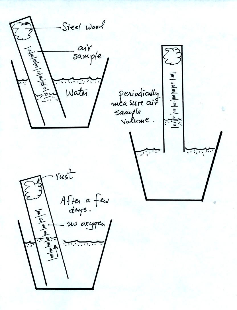 water level rises as oxygen reacts with the steel wool to form rust
