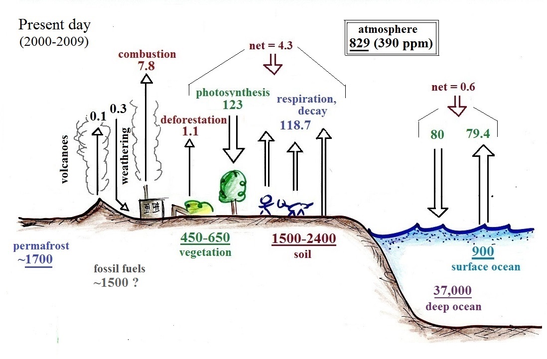 Carbon dioxide in the atmosphere
