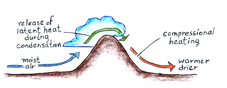 Solved Warm winds called Chinooks (a native-American term