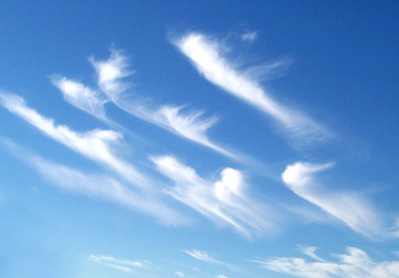 Information About the Cirrostratus Clouds